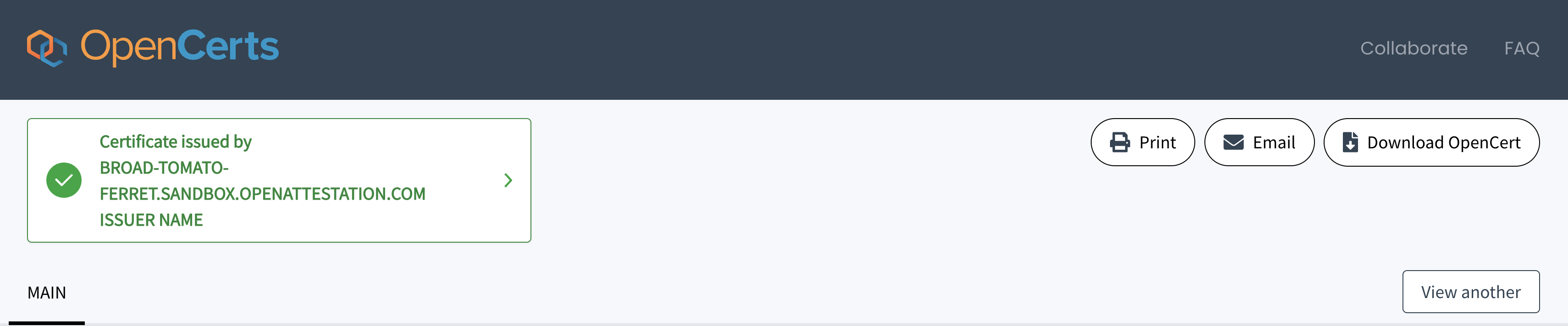 Example Issuer Identity