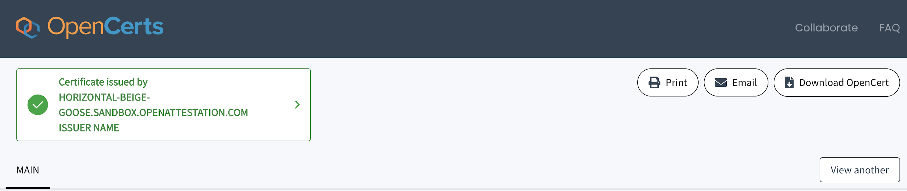 Example Issuer Identity