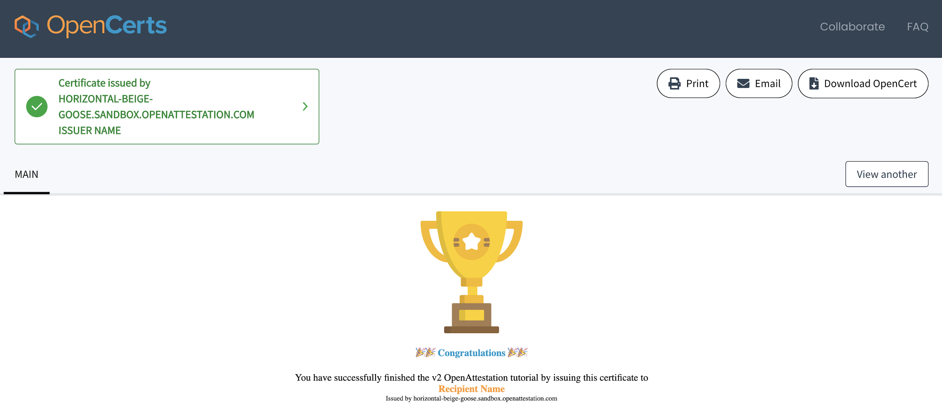 Successful verification