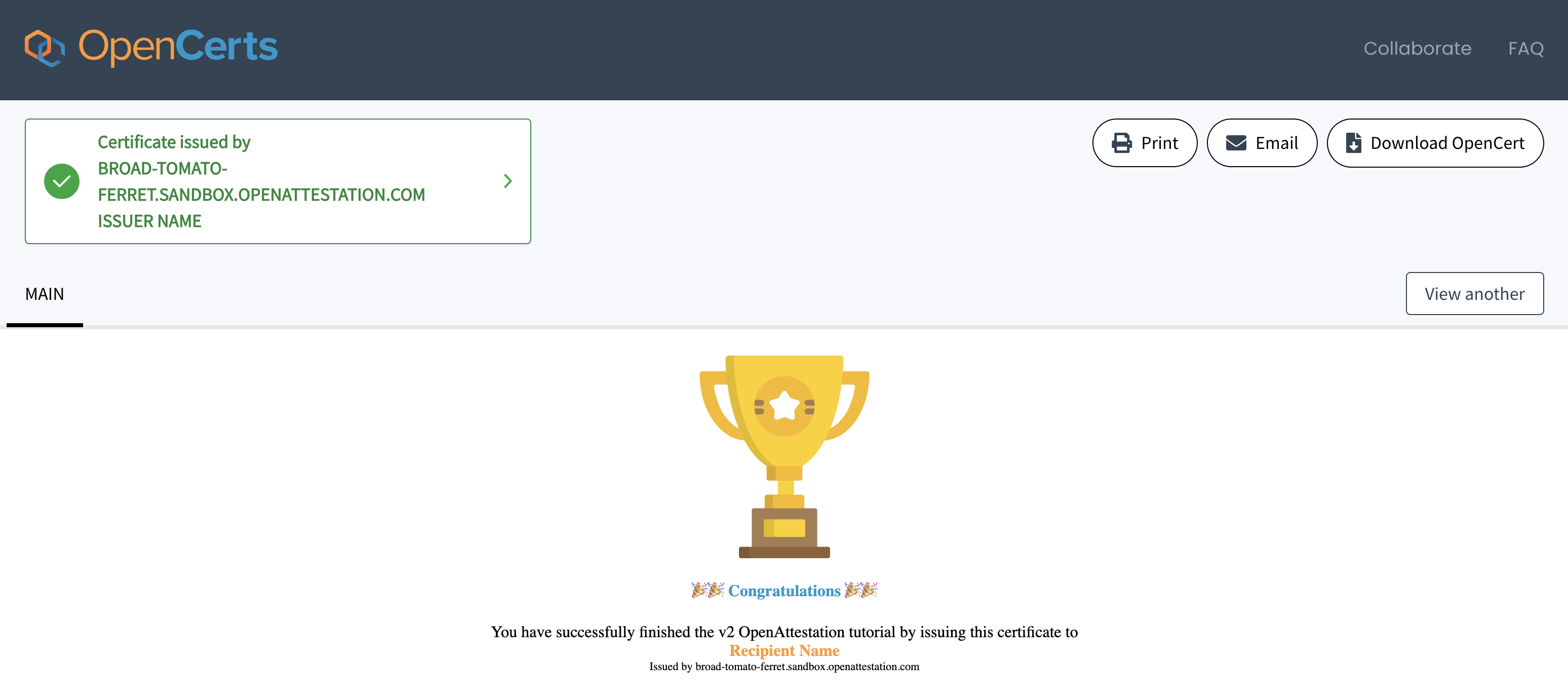Successful verification